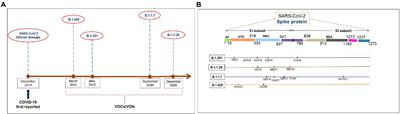 B.1.1.7 (Alpha) variant is the most antigenic compared to Wuhan strain, B.1.351, B.1.1.28/triple mutant and B.1.429 variants